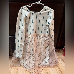 Long sleeve tulle embroidered skater dress 
Hanna andersson